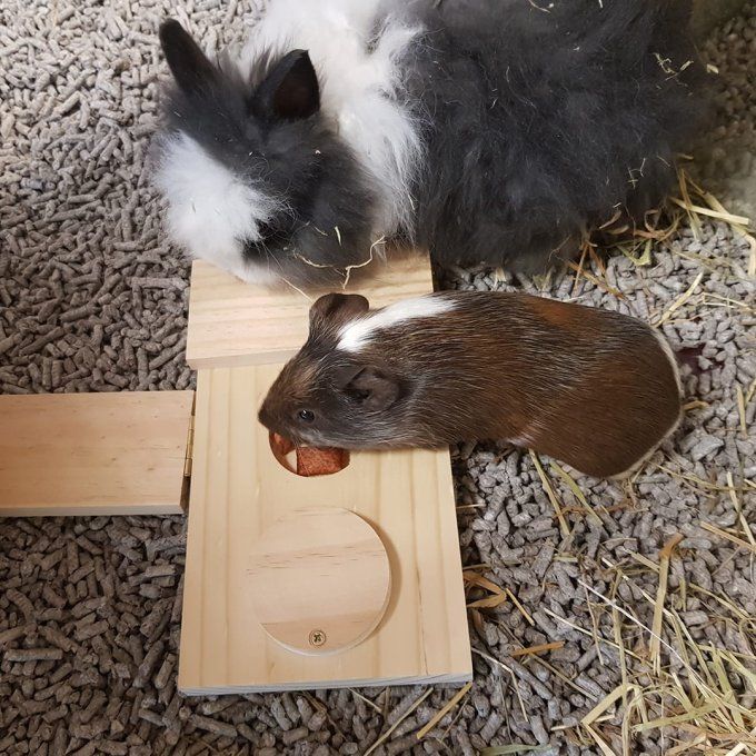 Sniffle `n snack puzzle en bois Dan