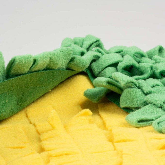 Tapis de fouille Maïs