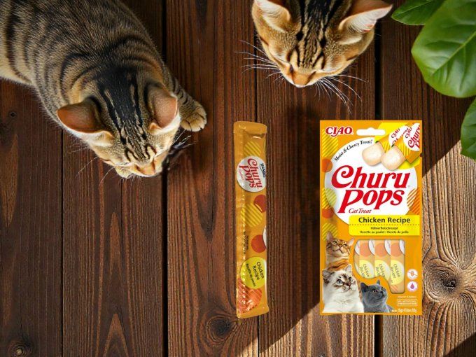 Friandises Ciao Churu Pops – Gelée Poulet Juteux 