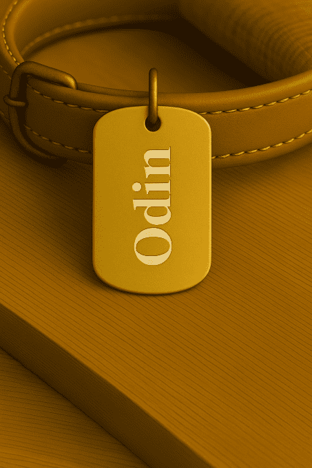 Médaille Personnalisée Plaque Militaire – Gravure Laser