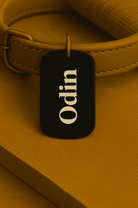 Médaille Personnalisée Plaque Militaire – Gravure Laser