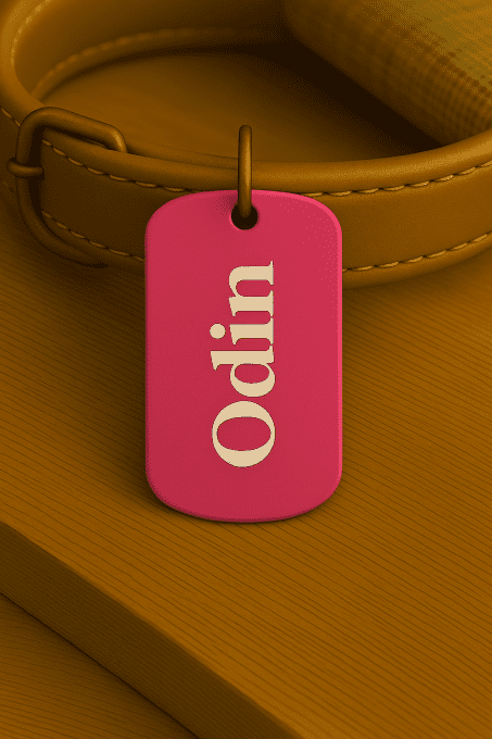 Médaille Personnalisée Plaque Militaire – Gravure Laser