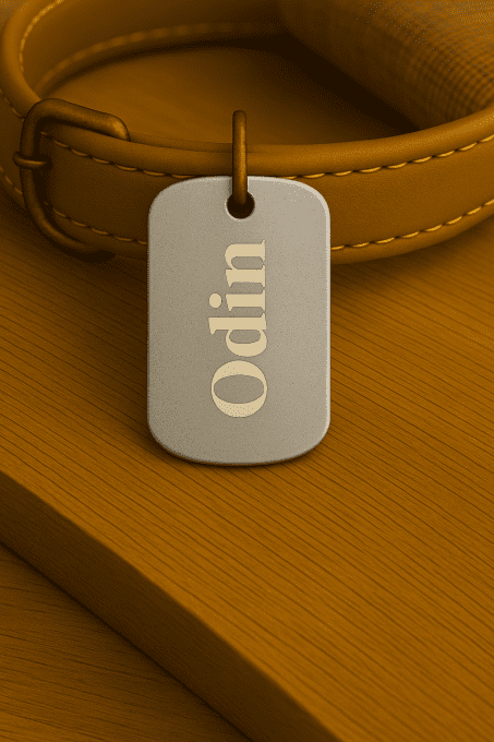 Médaille Personnalisée Plaque Militaire – Gravure Laser