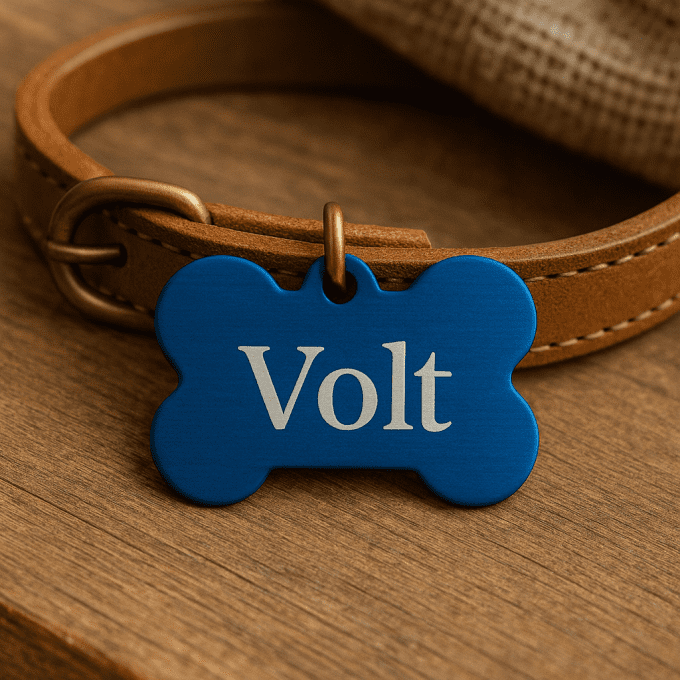 Médaille Personnalisée en Forme d’Os – Gravure Laser