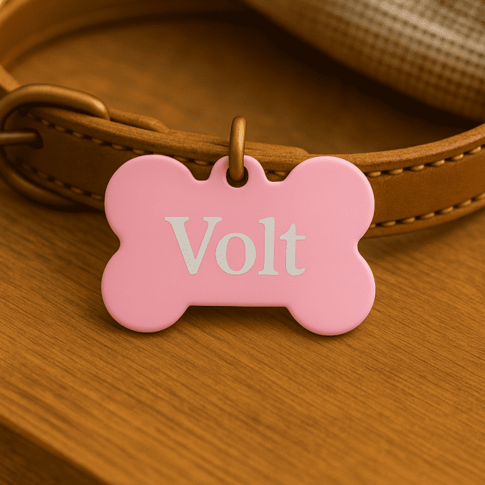 Médaille Personnalisée en Forme d’Os – Gravure Laser