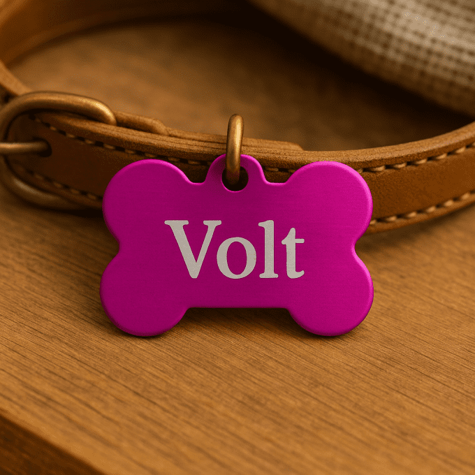 Médaille Personnalisée en Forme d’Os – Gravure Laser