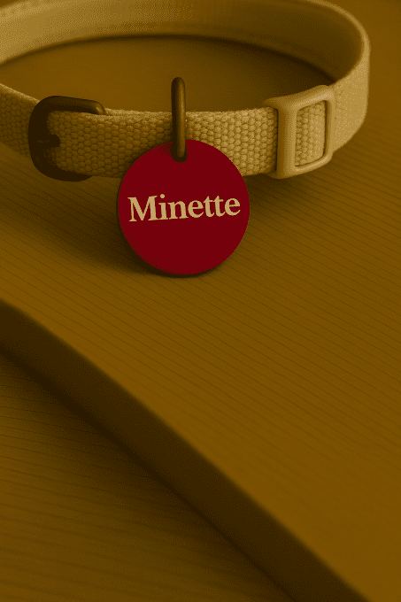 Médaille Personnalisée Chat & Petit Chien – Aluminium & Laser