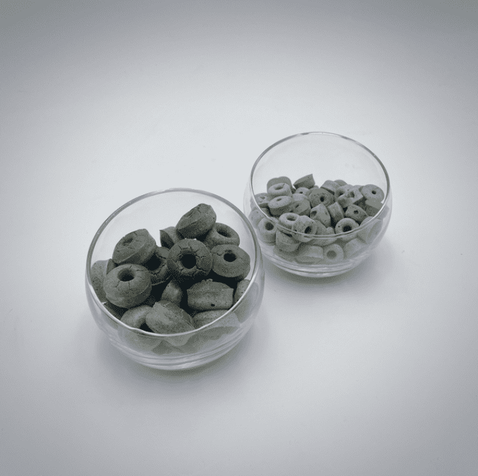 Donuts Menthe - Spiruline