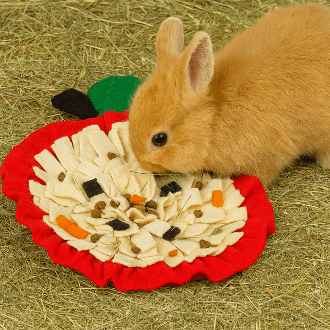 Tapis de Fouille Duvoplus Forme Pomme – Enrichissement