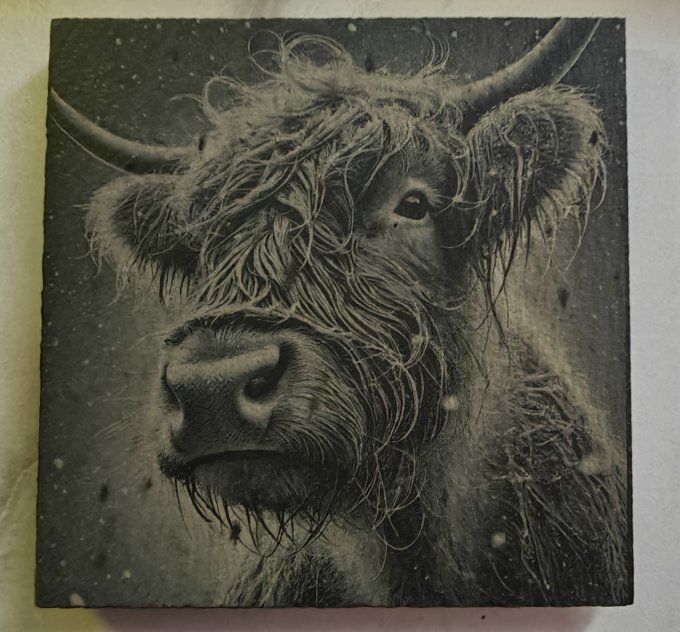 Ardoise sous-verre ou assiette