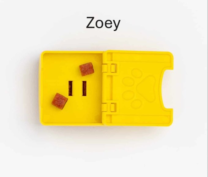 Jeu d’enrichissement Pawzler – Coffret Smarty (Niveau 2)